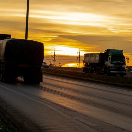 Transporte terrestre de cargas: segurança e eficiência para sua logística
